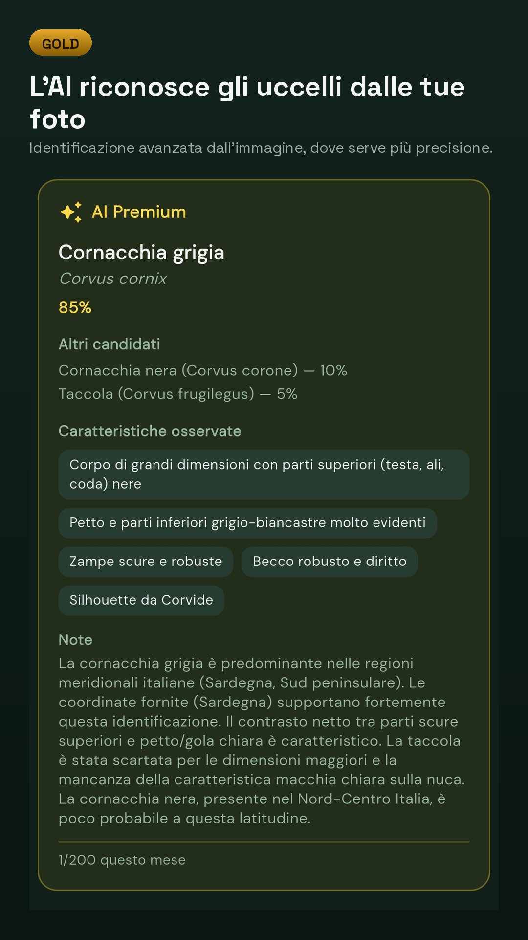 Identificazione da foto con AI Premium